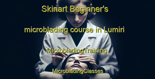 Skinart Beginner's microblading course in Lumiri | #MicrobladingTraining #MicrobladingClasses #SkinartTraining-Malaysia