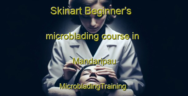 Skinart Beginner's microblading course in Mandaripau | #MicrobladingTraining #MicrobladingClasses #SkinartTraining-Malaysia