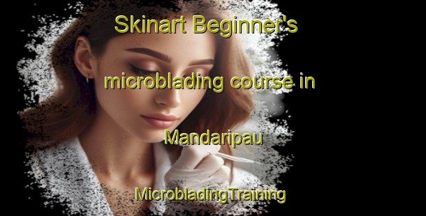 Skinart Beginner's microblading course in Mandaripau | #MicrobladingTraining #MicrobladingClasses #SkinartTraining-Malaysia