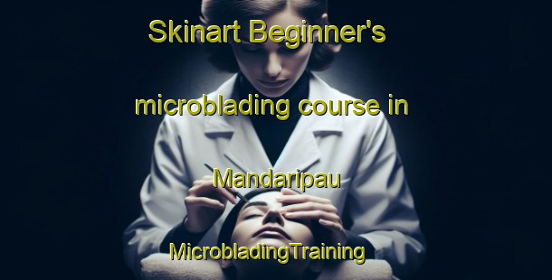 Skinart Beginner's microblading course in Mandaripau | MicrobladingTraining | MicrobladingClasses | SkinartTraining-Malaysia