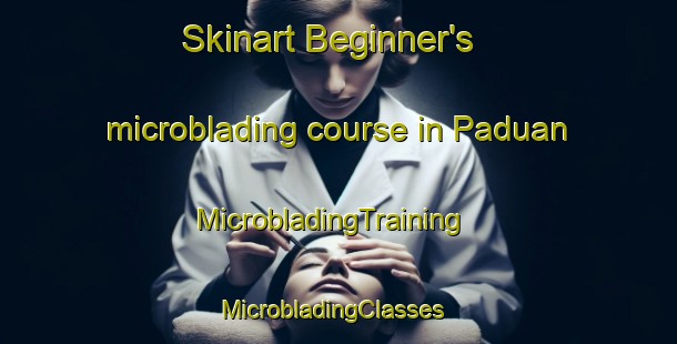 Skinart Beginner's microblading course in Paduan | MicrobladingTraining | MicrobladingClasses | SkinartTraining-Malaysia