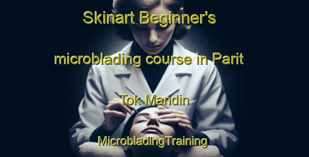 Skinart Beginner's microblading course in Parit Tok Mandin | #MicrobladingTraining #MicrobladingClasses #SkinartTraining-Malaysia