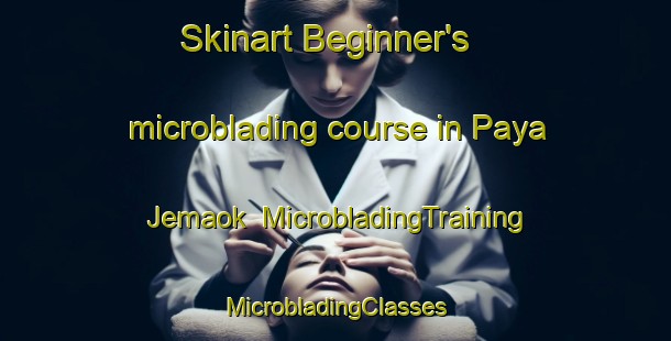 Skinart Beginner's microblading course in Paya Jemaok | #MicrobladingTraining #MicrobladingClasses #SkinartTraining-Malaysia