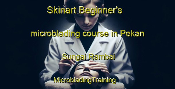 Skinart Beginner's microblading course in Pekan Sungai Rambai | MicrobladingTraining | MicrobladingClasses | SkinartTraining-Malaysia