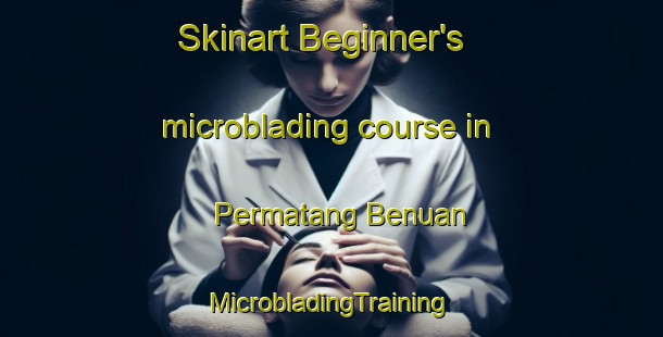 Skinart Beginner's microblading course in Permatang Benuan | #MicrobladingTraining #MicrobladingClasses #SkinartTraining-Malaysia