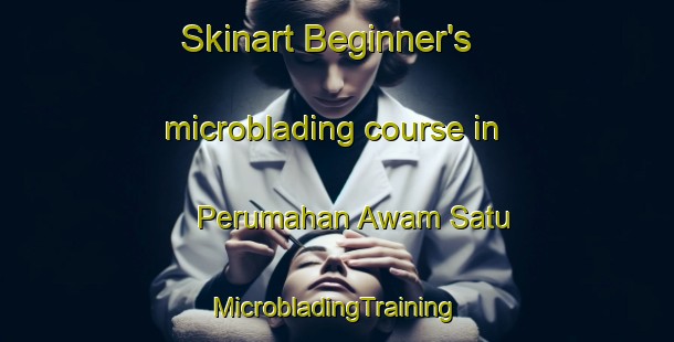 Skinart Beginner's microblading course in Perumahan Awam Satu | #MicrobladingTraining #MicrobladingClasses #SkinartTraining-Malaysia