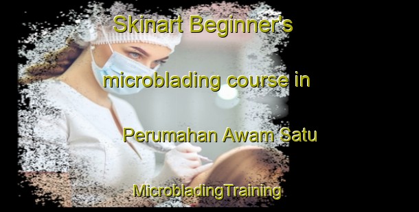 Skinart Beginner's microblading course in Perumahan Awam Satu | #MicrobladingTraining #MicrobladingClasses #SkinartTraining-Malaysia