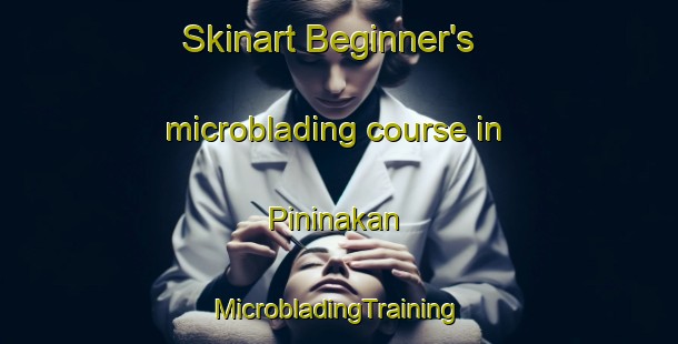 Skinart Beginner's microblading course in Pininakan | #MicrobladingTraining #MicrobladingClasses #SkinartTraining-Malaysia