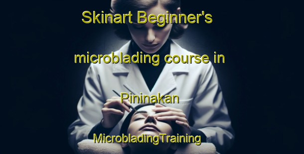 Skinart Beginner's microblading course in Pininakan | MicrobladingTraining | MicrobladingClasses | SkinartTraining-Malaysia