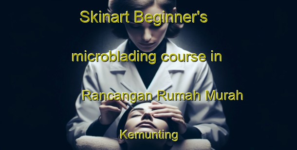 Skinart Beginner's microblading course in Rancangan Rumah Murah Kemunting | #MicrobladingTraining #MicrobladingClasses #SkinartTraining-Malaysia