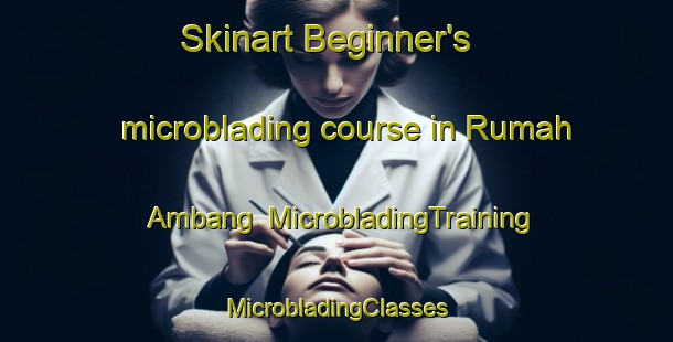 Skinart Beginner's microblading course in Rumah Ambang | #MicrobladingTraining #MicrobladingClasses #SkinartTraining-Malaysia