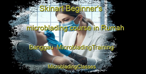Skinart Beginner's microblading course in Rumah Banggau | MicrobladingTraining | MicrobladingClasses | SkinartTraining-Malaysia
