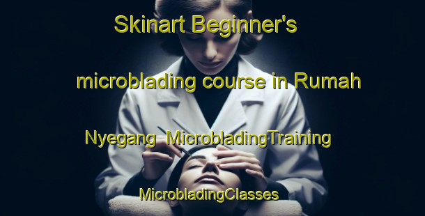 Skinart Beginner's microblading course in Rumah Nyegang | MicrobladingTraining | MicrobladingClasses | SkinartTraining-Malaysia
