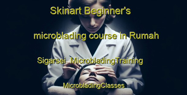 Skinart Beginner's microblading course in Rumah Sigarsei | #MicrobladingTraining #MicrobladingClasses #SkinartTraining-Malaysia