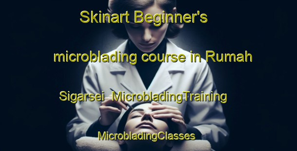 Skinart Beginner's microblading course in Rumah Sigarsei | MicrobladingTraining | MicrobladingClasses | SkinartTraining-Malaysia