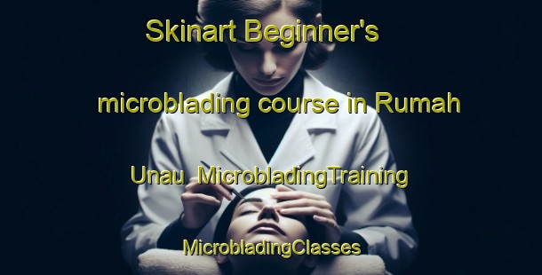 Skinart Beginner's microblading course in Rumah Unau | #MicrobladingTraining #MicrobladingClasses #SkinartTraining-Malaysia