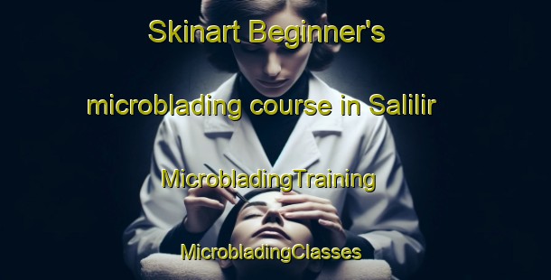 Skinart Beginner's microblading course in Salilir | MicrobladingTraining | MicrobladingClasses | SkinartTraining-Malaysia