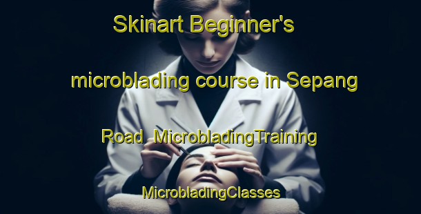 Skinart Beginner's microblading course in Sepang Road | #MicrobladingTraining #MicrobladingClasses #SkinartTraining-Malaysia