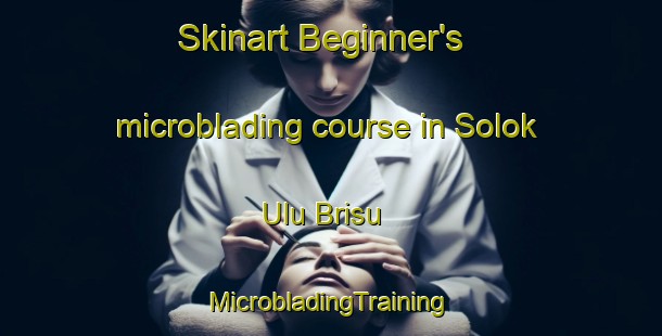 Skinart Beginner's microblading course in Solok Ulu Brisu | #MicrobladingTraining #MicrobladingClasses #SkinartTraining-Malaysia