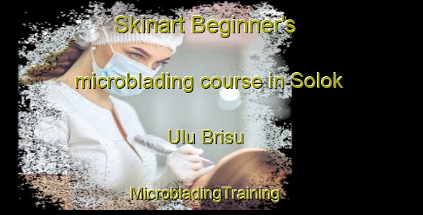 Skinart Beginner's microblading course in Solok Ulu Brisu | MicrobladingTraining | MicrobladingClasses | SkinartTraining-Malaysia
