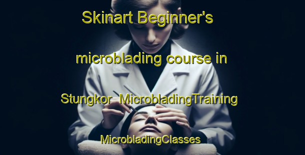 Skinart Beginner's microblading course in Stungkor | MicrobladingTraining | MicrobladingClasses | SkinartTraining-Malaysia