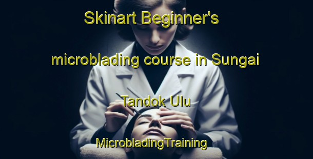 Skinart Beginner's microblading course in Sungai Tandok Ulu | MicrobladingTraining | MicrobladingClasses | SkinartTraining-Malaysia