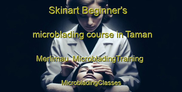 Skinart Beginner's microblading course in Taman Merlimau | #MicrobladingTraining #MicrobladingClasses #SkinartTraining-Malaysia