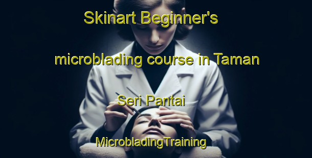 Skinart Beginner's microblading course in Taman Seri Pantai | MicrobladingTraining | MicrobladingClasses | SkinartTraining-Malaysia