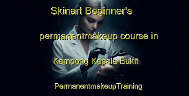 Skinart Beginner's permanentmakeup course in Kampong Kepala Bukit | #PermanentmakeupTraining #PermanentmakeupClasses #SkinartTraining-Malaysia