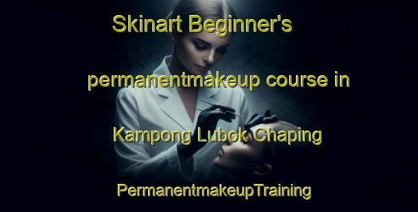 Skinart Beginner's permanentmakeup course in Kampong Lubok Chaping | PermanentmakeupTraining | PermanentmakeupClasses | SkinartTraining-Malaysia