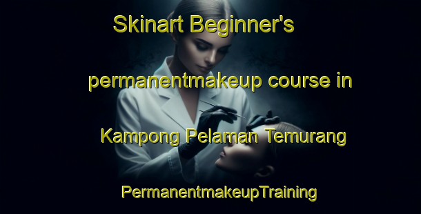 Skinart Beginner's permanentmakeup course in Kampong Pelaman Temurang | #PermanentmakeupTraining #PermanentmakeupClasses #SkinartTraining-Malaysia