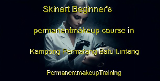 Skinart Beginner's permanentmakeup course in Kampong Permatang Batu Lintang | #PermanentmakeupTraining #PermanentmakeupClasses #SkinartTraining-Malaysia