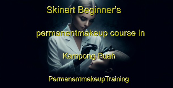 Skinart Beginner's permanentmakeup course in Kampong Puah | PermanentmakeupTraining | PermanentmakeupClasses | SkinartTraining-Malaysia