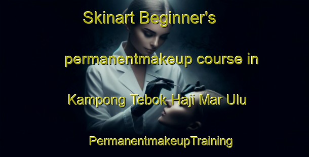 Skinart Beginner's permanentmakeup course in Kampong Tebok Haji Mar Ulu | #PermanentmakeupTraining #PermanentmakeupClasses #SkinartTraining-Malaysia