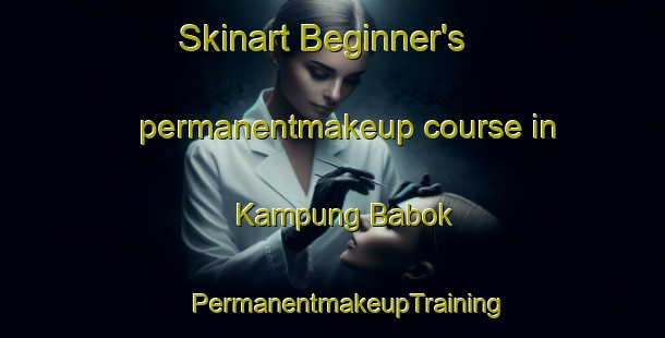 Skinart Beginner's permanentmakeup course in Kampung Babok | #PermanentmakeupTraining #PermanentmakeupClasses #SkinartTraining-Malaysia