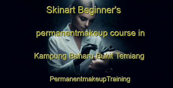 Skinart Beginner's permanentmakeup course in Kampung Baharu Bukit Temiang | #PermanentmakeupTraining #PermanentmakeupClasses #SkinartTraining-Malaysia