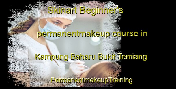 Skinart Beginner's permanentmakeup course in Kampung Baharu Bukit Temiang | #PermanentmakeupTraining #PermanentmakeupClasses #SkinartTraining-Malaysia