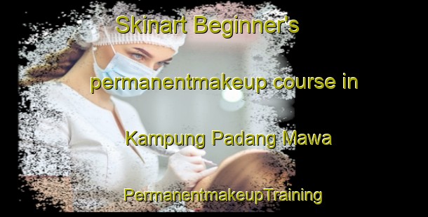 Skinart Beginner's permanentmakeup course in Kampung Padang Mawa | #PermanentmakeupTraining #PermanentmakeupClasses #SkinartTraining-Malaysia