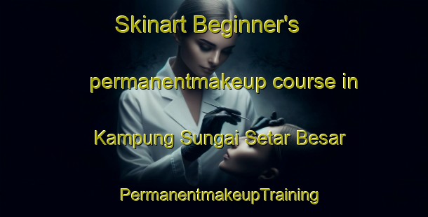 Skinart Beginner's permanentmakeup course in Kampung Sungai Setar Besar | PermanentmakeupTraining | PermanentmakeupClasses | SkinartTraining-Malaysia