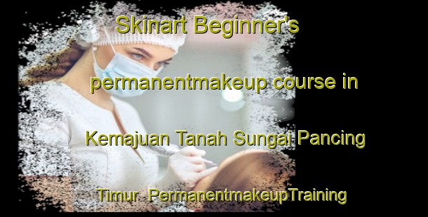 Skinart Beginner's permanentmakeup course in Kemajuan Tanah Sungai Pancing Timur | #PermanentmakeupTraining #PermanentmakeupClasses #SkinartTraining-Malaysia