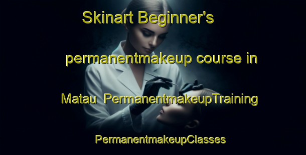 Skinart Beginner's permanentmakeup course in Matau | #PermanentmakeupTraining #PermanentmakeupClasses #SkinartTraining-Malaysia