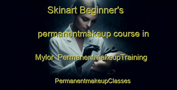 Skinart Beginner's permanentmakeup course in Mylor | #PermanentmakeupTraining #PermanentmakeupClasses #SkinartTraining-Malaysia