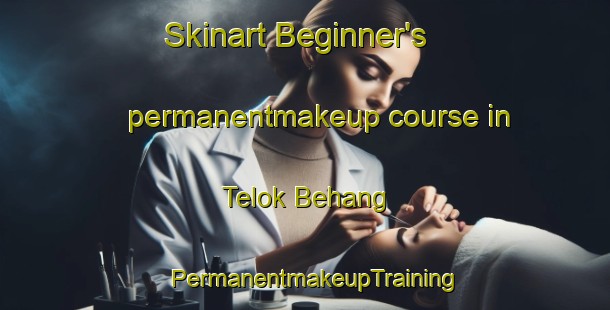 Skinart Beginner's permanentmakeup course in Telok Behang | PermanentmakeupTraining | PermanentmakeupClasses | SkinartTraining-Malaysia