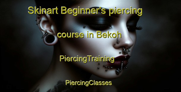Skinart Beginner's piercing course in Bekoh | PiercingTraining | PiercingClasses | SkinartTraining-Malaysia
