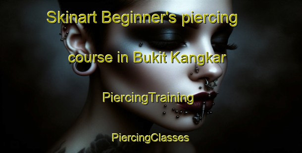 Skinart Beginner's piercing course in Bukit Kangkar | #PiercingTraining #PiercingClasses #SkinartTraining-Malaysia