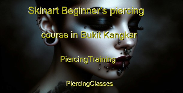 Skinart Beginner's piercing course in Bukit Kangkar | PiercingTraining | PiercingClasses | SkinartTraining-Malaysia