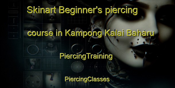 Skinart Beginner's piercing course in Kampong Kalai Baharu | #PiercingTraining #PiercingClasses #SkinartTraining-Malaysia