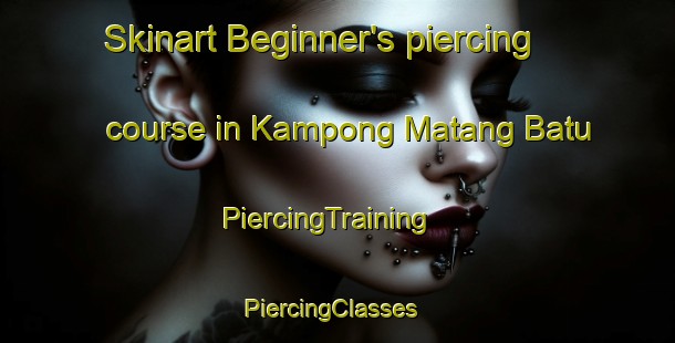 Skinart Beginner's piercing course in Kampong Matang Batu | PiercingTraining | PiercingClasses | SkinartTraining-Malaysia