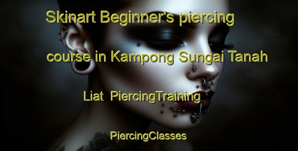 Skinart Beginner's piercing course in Kampong Sungai Tanah Liat | #PiercingTraining #PiercingClasses #SkinartTraining-Malaysia