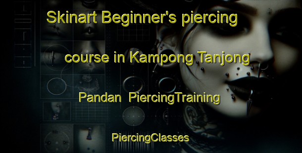 Skinart Beginner's piercing course in Kampong Tanjong Pandan | #PiercingTraining #PiercingClasses #SkinartTraining-Malaysia